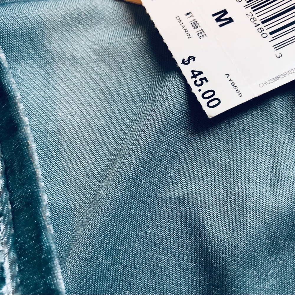 SENDING A FRIEND Blue Sage Velvet V-Neck Tee - Picture 5 of 8